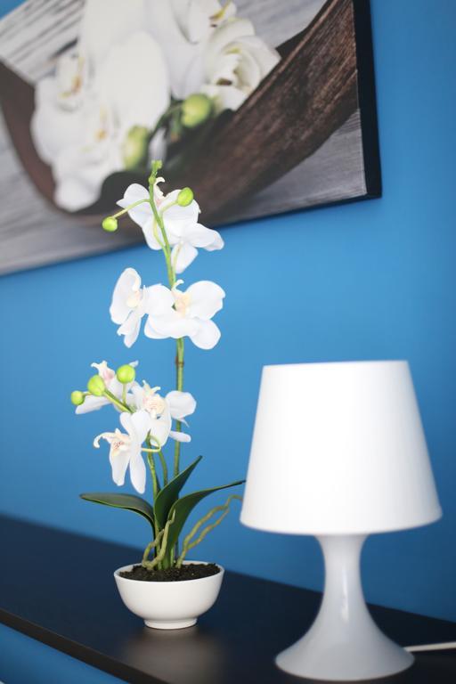 Iris Room Рим Екстер'єр фото